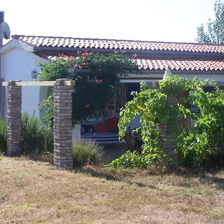 Mit Pool By Interhome Vikendica *